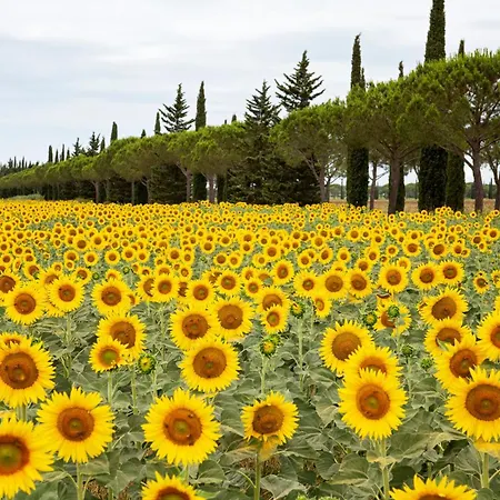 Borgo San Giuseppe By La Principina