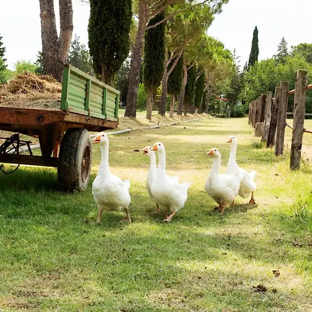 Agroturismo Borgo San Giuseppe By La Principina Grosseto
